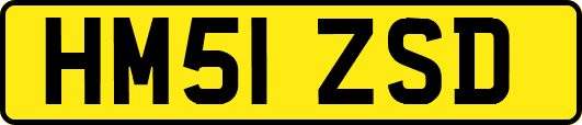 HM51ZSD