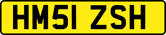 HM51ZSH