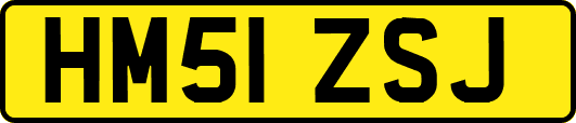 HM51ZSJ