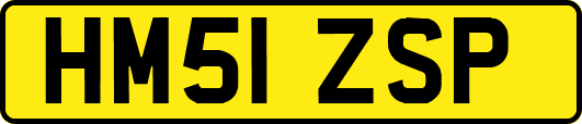 HM51ZSP