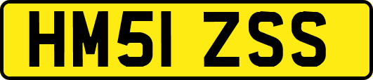 HM51ZSS