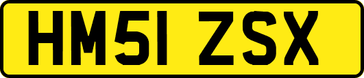HM51ZSX