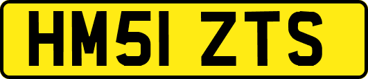 HM51ZTS