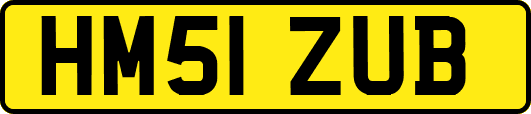 HM51ZUB