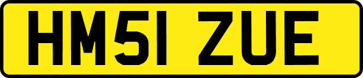 HM51ZUE