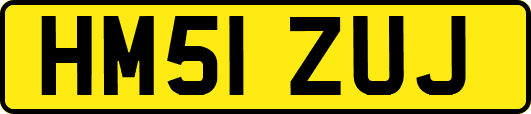 HM51ZUJ