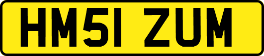 HM51ZUM