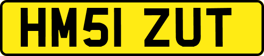 HM51ZUT
