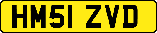 HM51ZVD