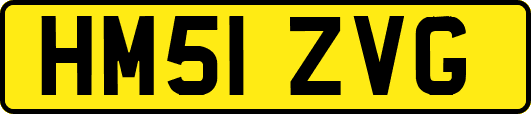 HM51ZVG