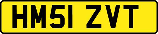 HM51ZVT
