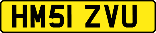 HM51ZVU