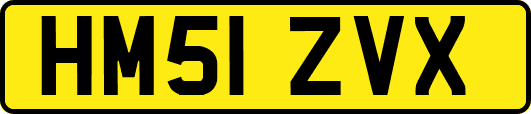 HM51ZVX