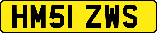 HM51ZWS