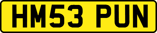 HM53PUN