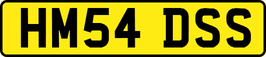 HM54DSS