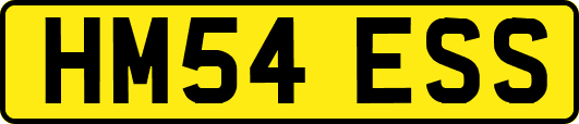 HM54ESS