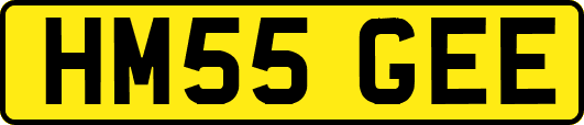 HM55GEE