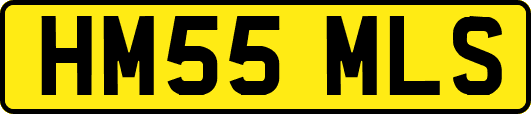 HM55MLS
