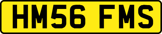 HM56FMS