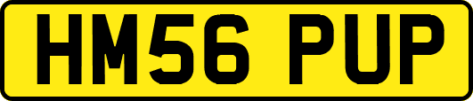 HM56PUP