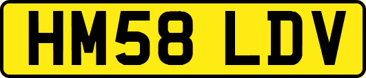 HM58LDV