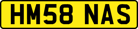HM58NAS