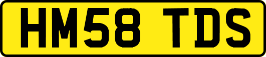HM58TDS