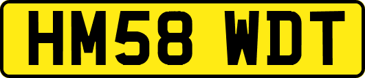 HM58WDT