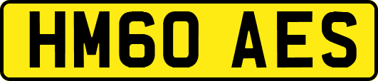 HM60AES