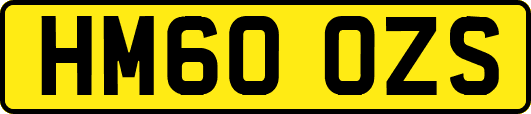 HM60OZS