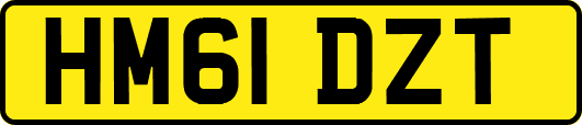 HM61DZT