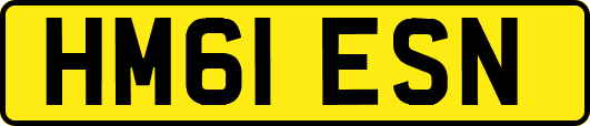 HM61ESN