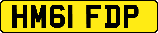 HM61FDP