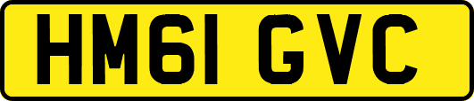 HM61GVC