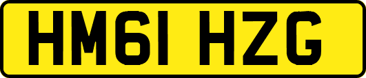 HM61HZG
