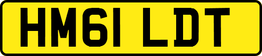 HM61LDT