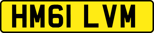 HM61LVM