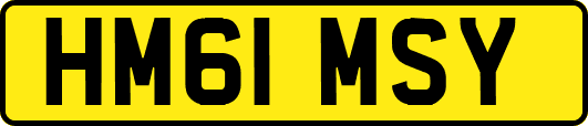 HM61MSY