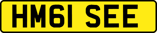 HM61SEE