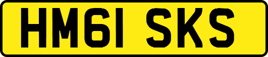 HM61SKS
