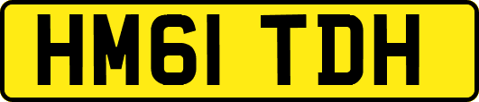 HM61TDH