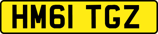 HM61TGZ