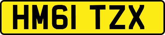 HM61TZX