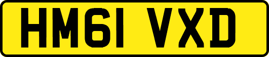 HM61VXD