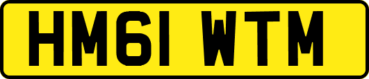 HM61WTM