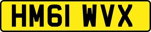 HM61WVX