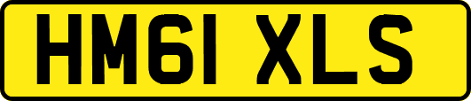 HM61XLS