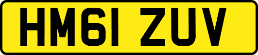 HM61ZUV