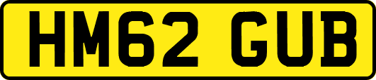 HM62GUB